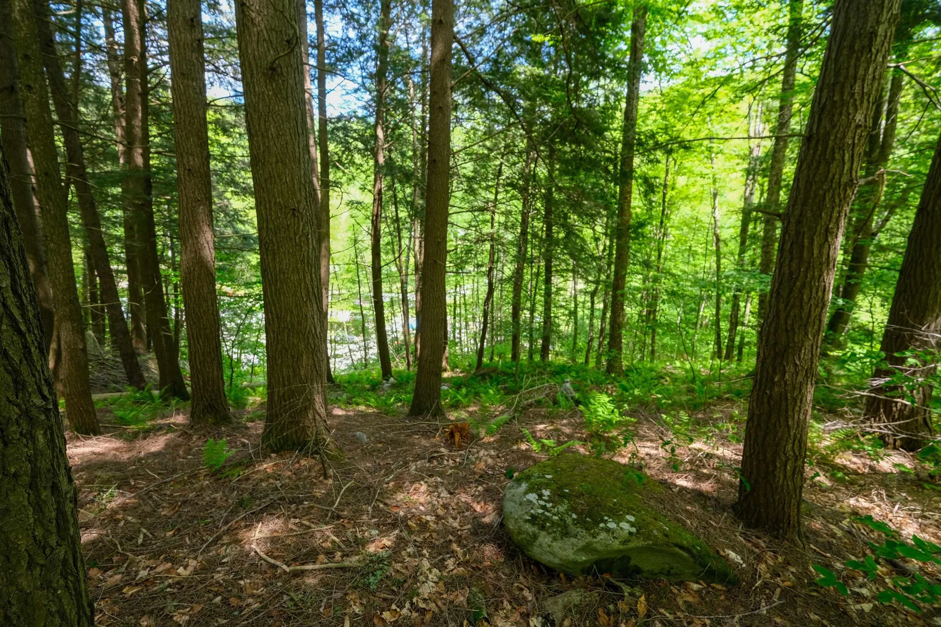 0 Crimson Hawk Road Plymouth VT 05056