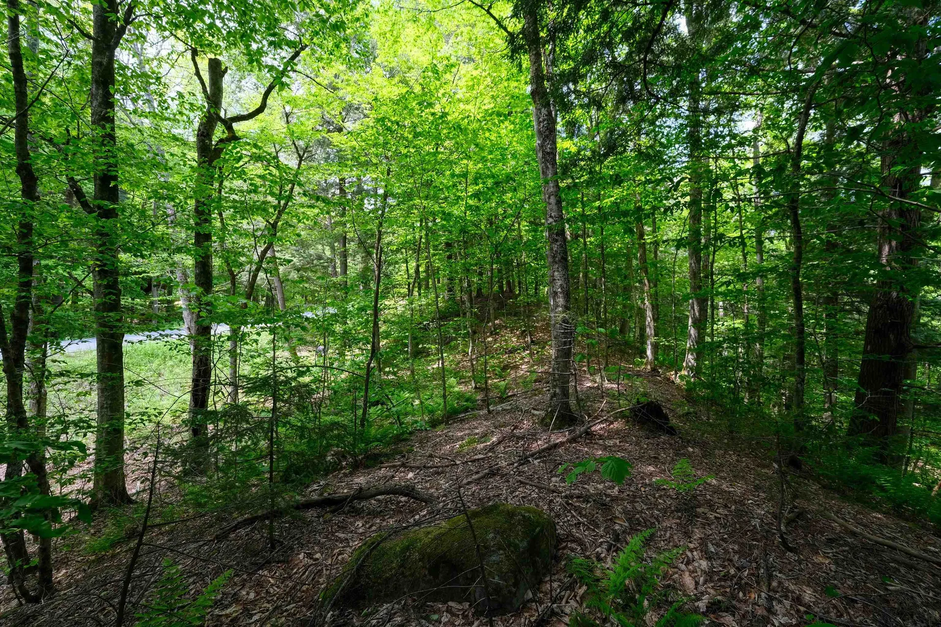 0 Crimson Hawk Road Plymouth VT 05056