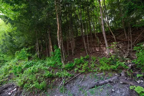 0 Crimson Hawk Road Plymouth VT 05056