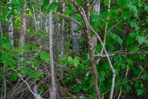 0 Crimson Hawk Road Plymouth VT 05056