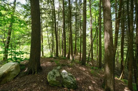 0 Crimson Hawk Road Plymouth VT 05056