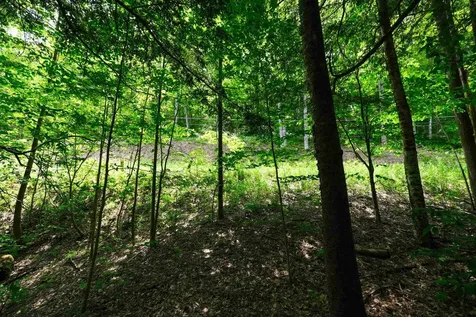 0 Crimson Hawk Road Plymouth VT 05056