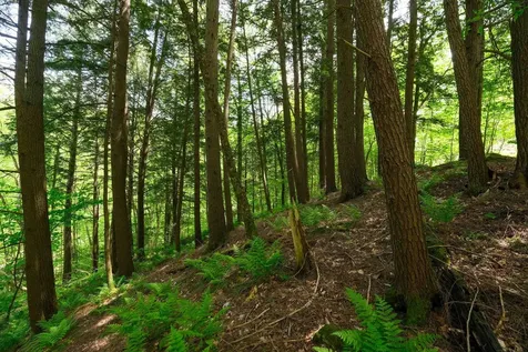 0 Crimson Hawk Road Plymouth VT 05056