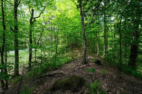 0 Crimson Hawk Road Plymouth VT 05056