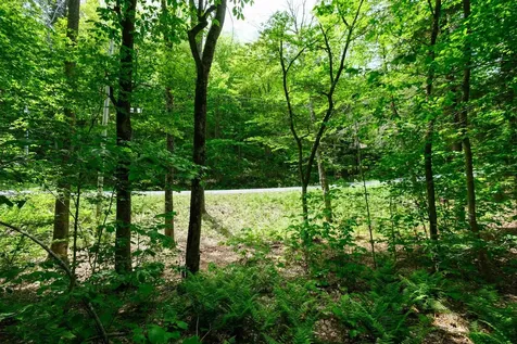 0 Crimson Hawk Road Plymouth VT 05056