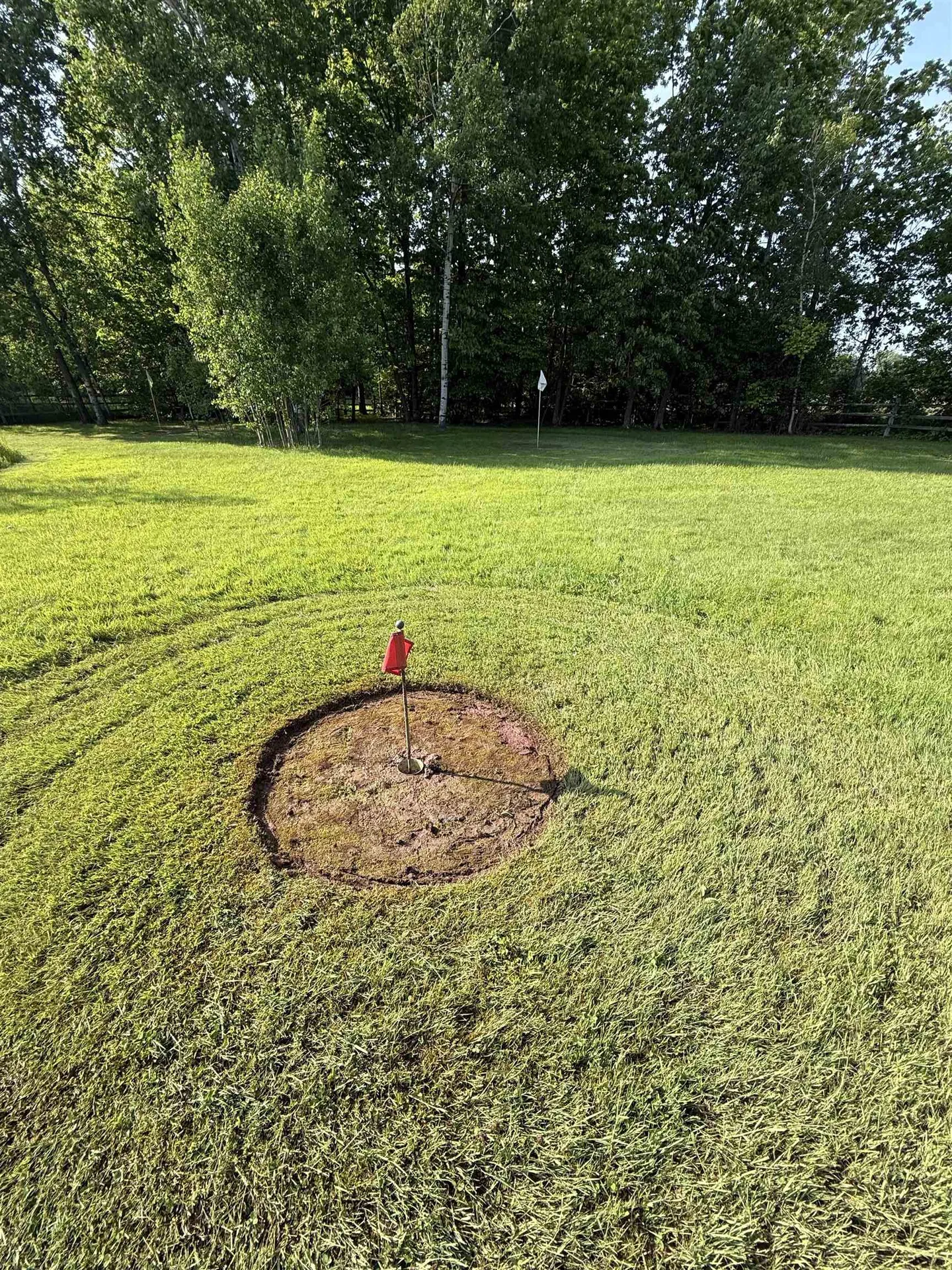 168 Raven Circle Williston VT 05495