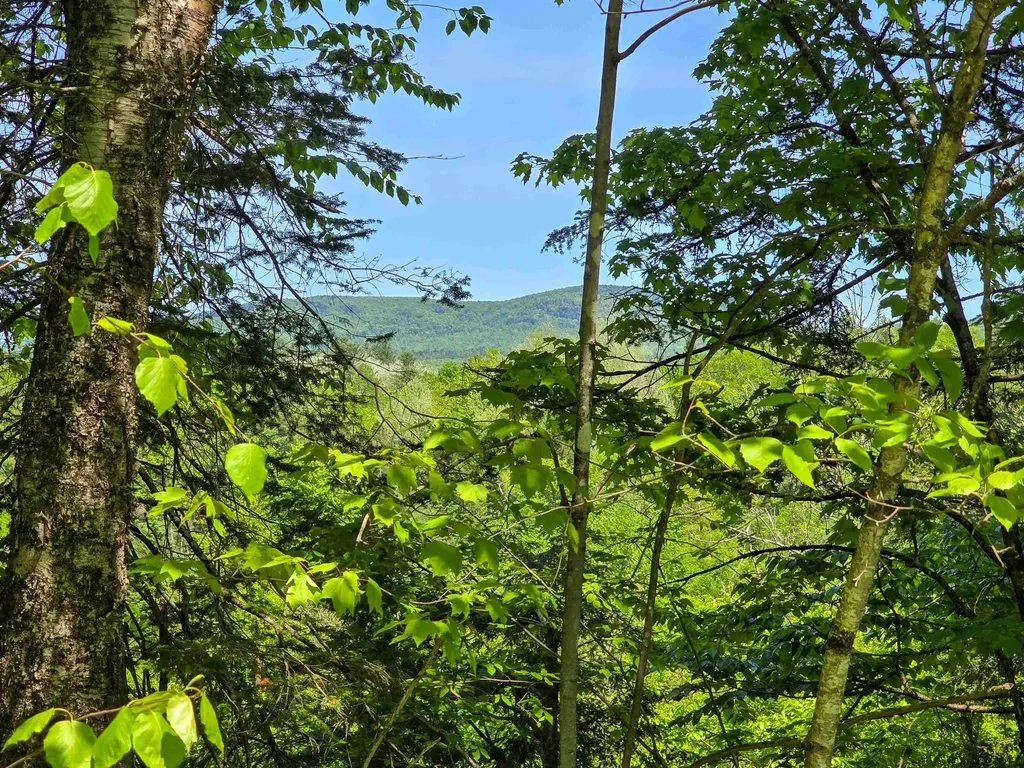 150 Spur Road Bloomfield VT 05905