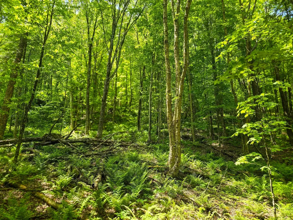 150 Spur Road Bloomfield VT 05905