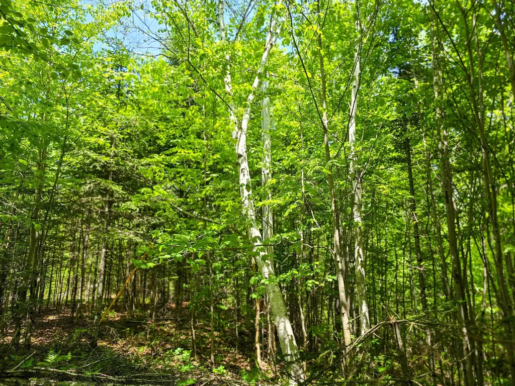 150 Spur Road Bloomfield VT 05905