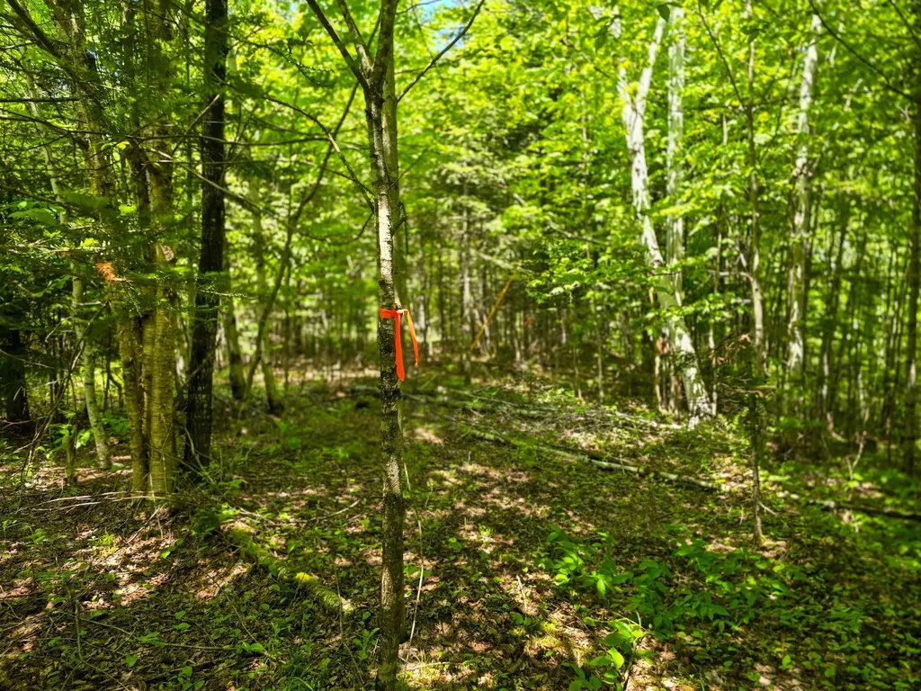 150 Spur Road Bloomfield VT 05905