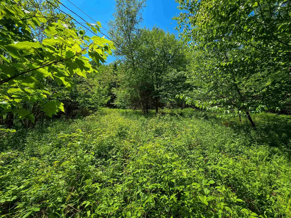 150 Spur Road Bloomfield VT 05905