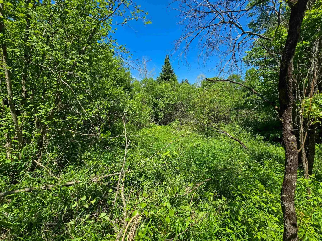 150 Spur Road Bloomfield VT 05905