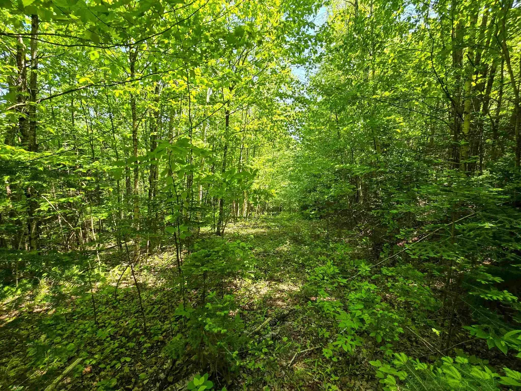 150 Spur Road Bloomfield VT 05905