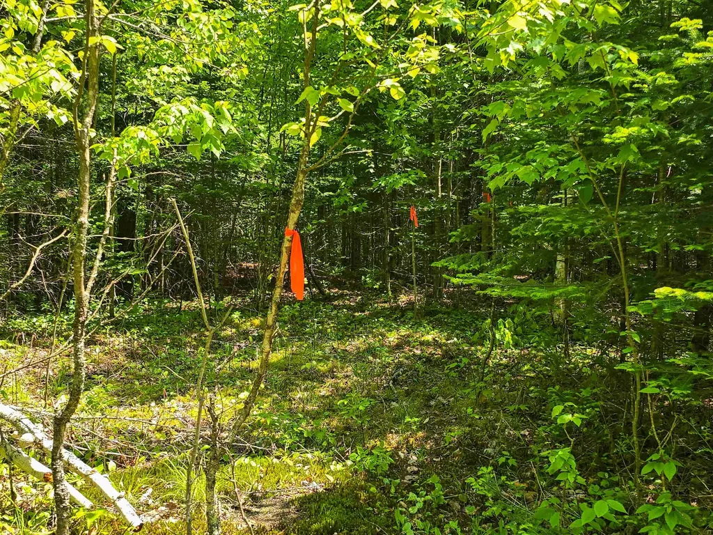 150 Spur Road Bloomfield VT 05905