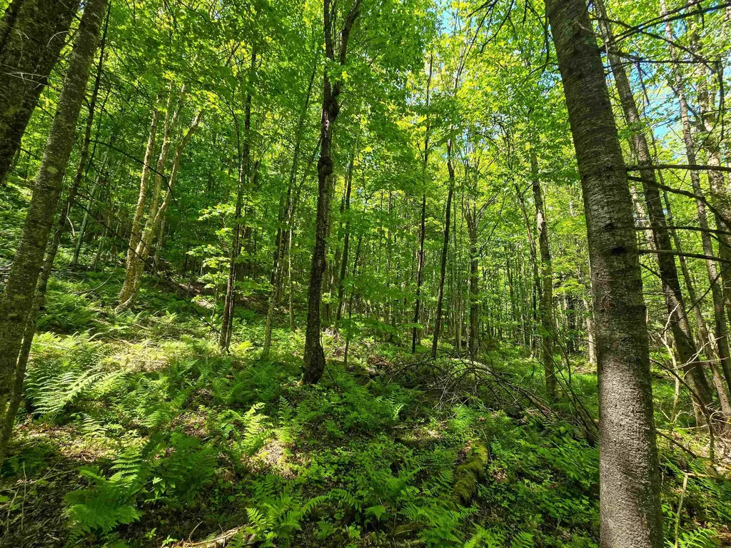 150 Spur Road Bloomfield VT 05905