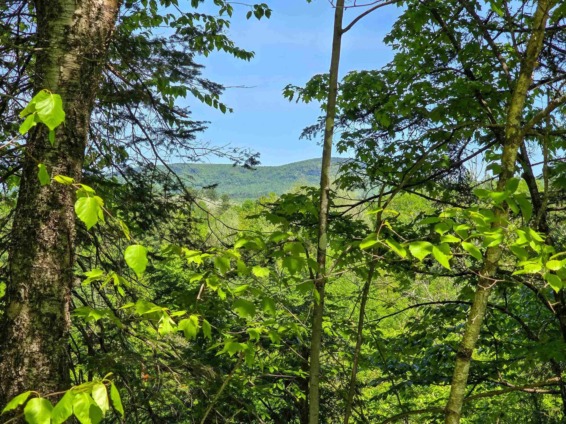 150 Spur Road Bloomfield VT 05905