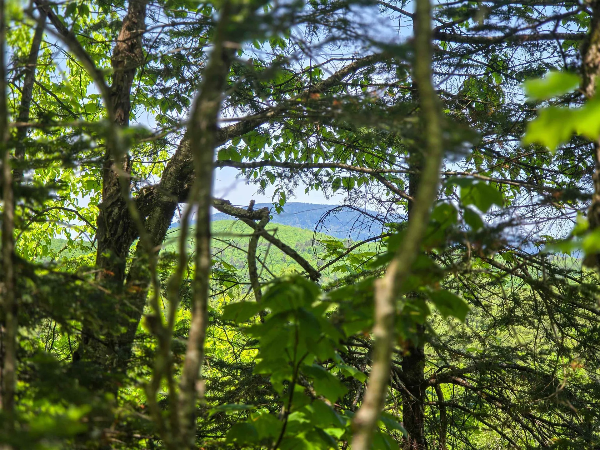 150 Spur Road Bloomfield VT 05905