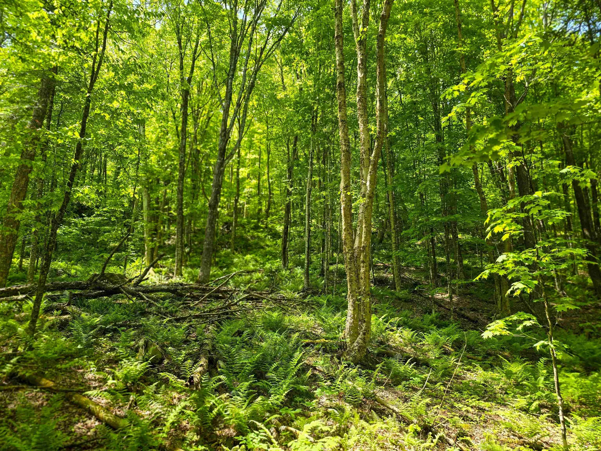 150 Spur Road Bloomfield VT 05905