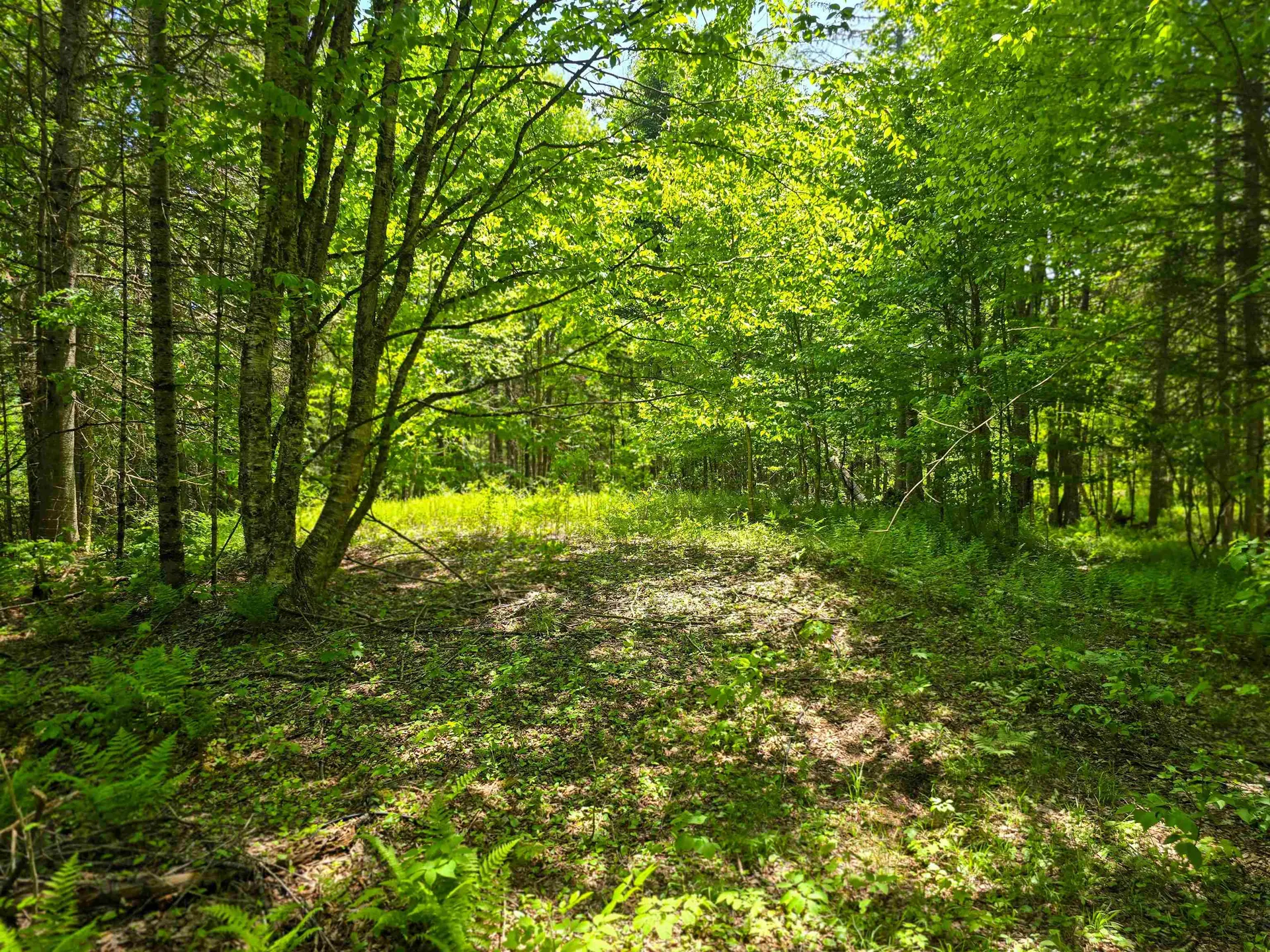 150 Spur Road Bloomfield VT 05905