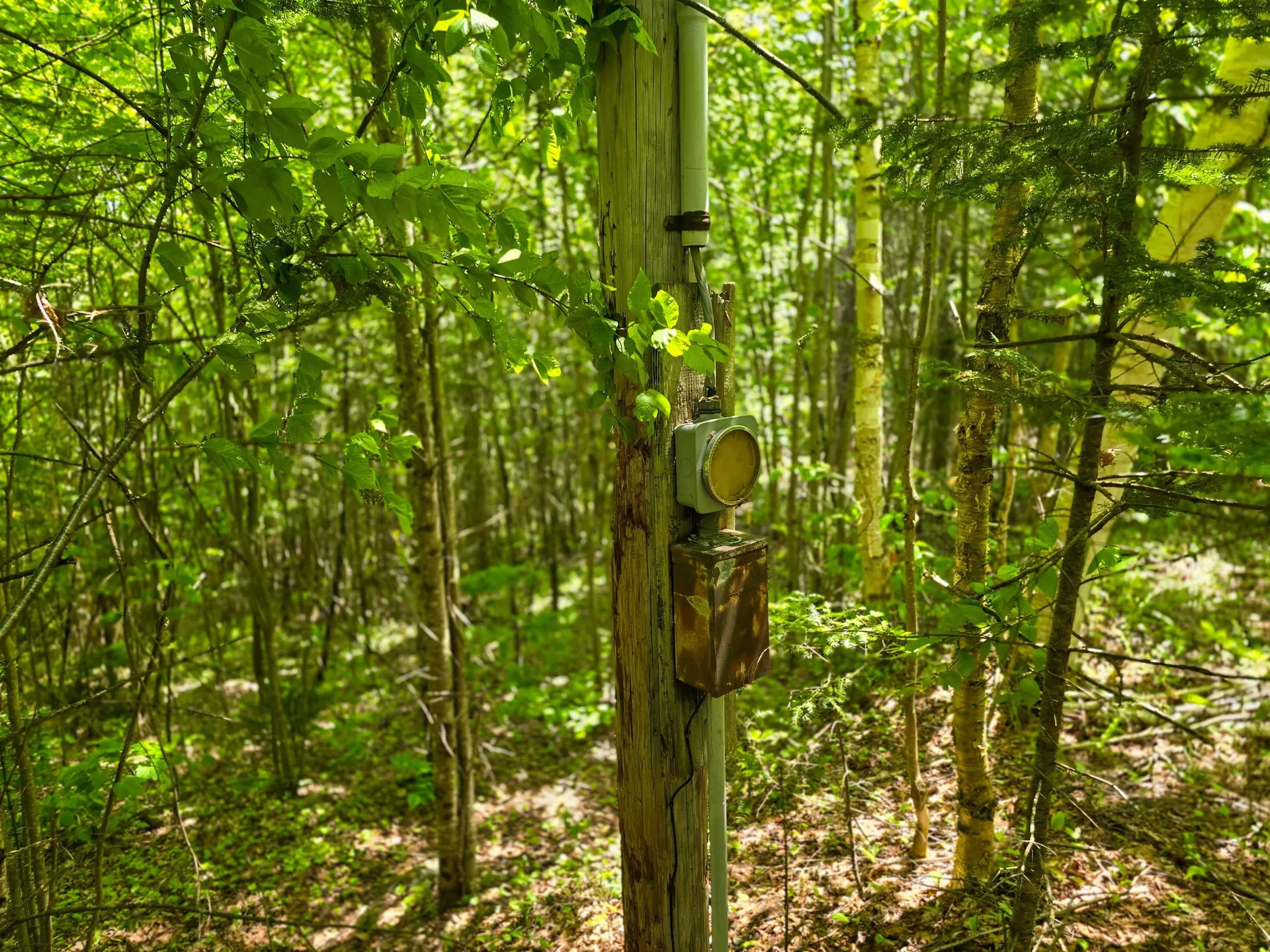 150 Spur Road Bloomfield VT 05905