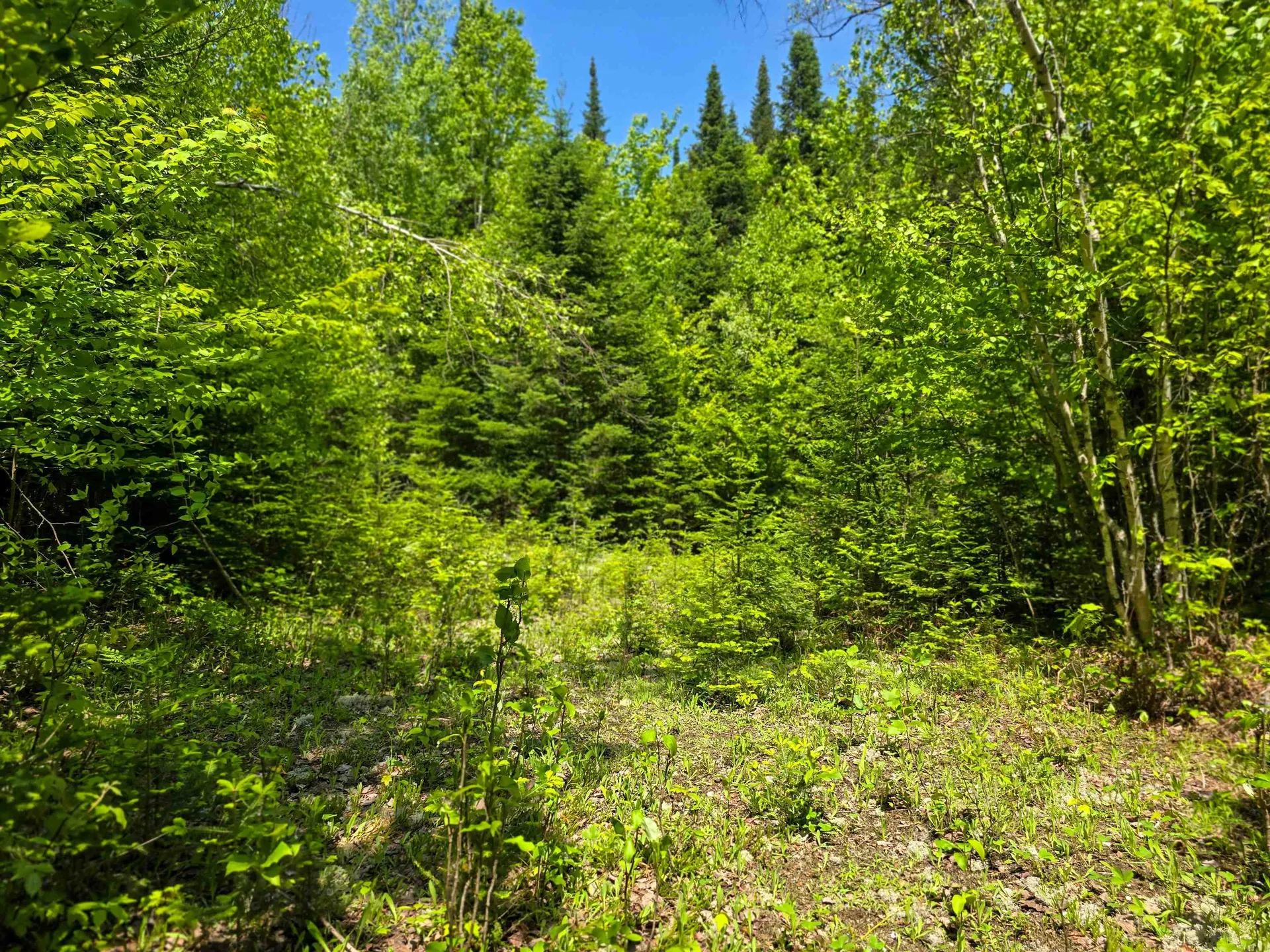 150 Spur Road Bloomfield VT 05905