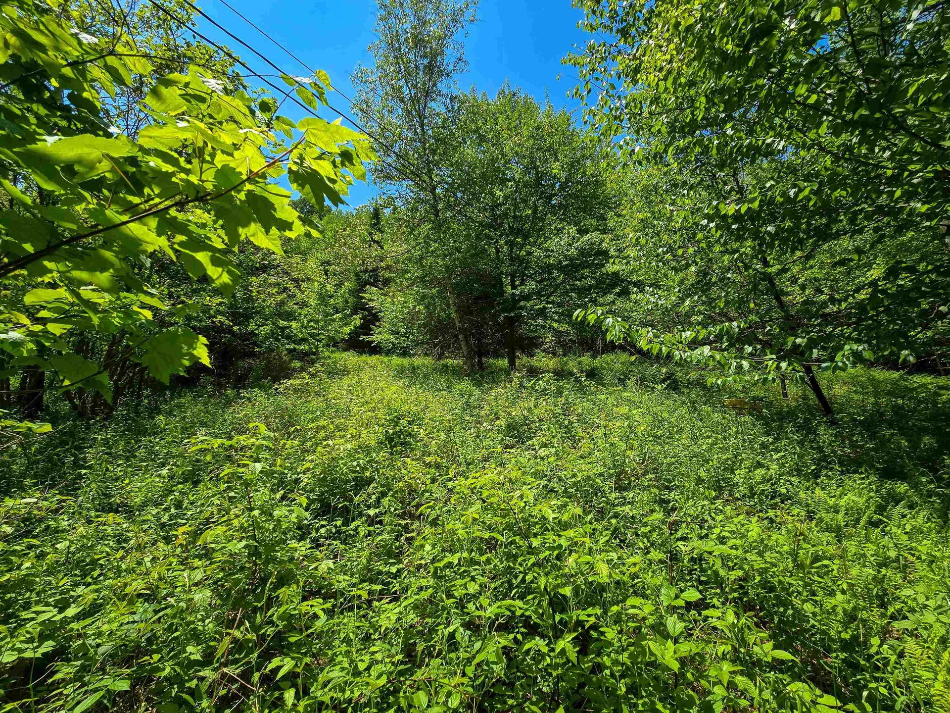 150 Spur Road Bloomfield VT 05905