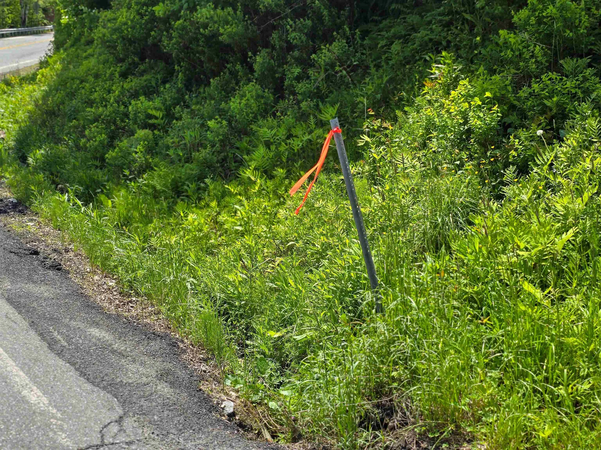 150 Spur Road Bloomfield VT 05905