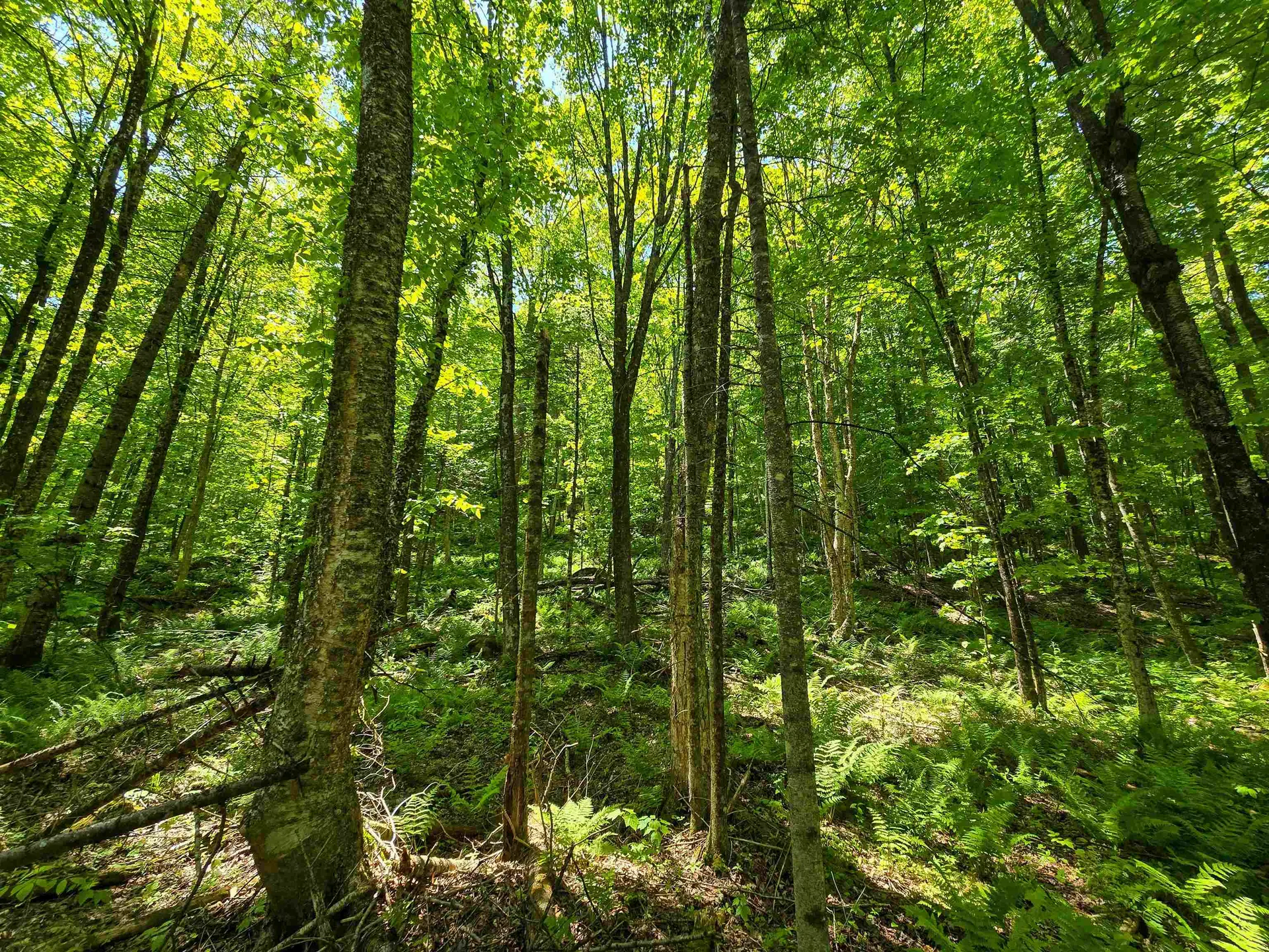 150 Spur Road Bloomfield VT 05905