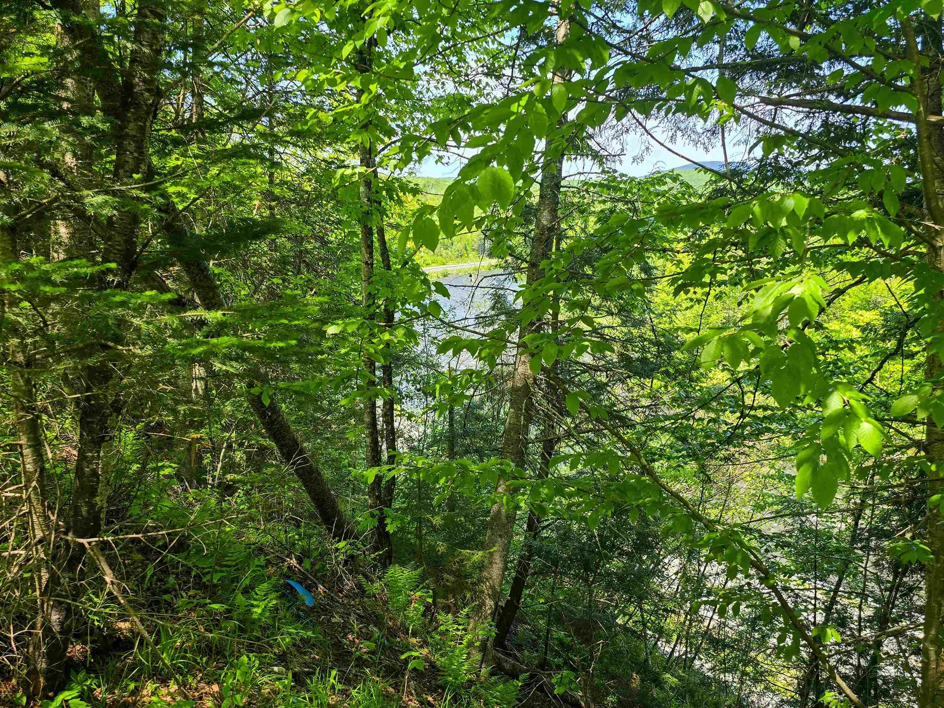 150 Spur Road Bloomfield VT 05905