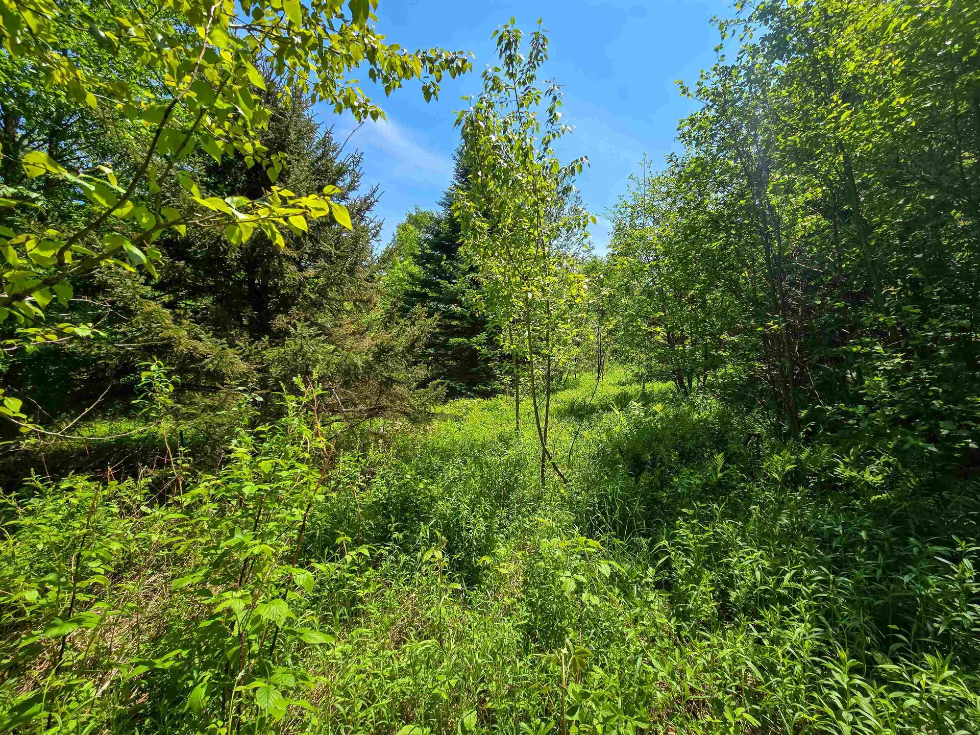 150 Spur Road Bloomfield VT 05905