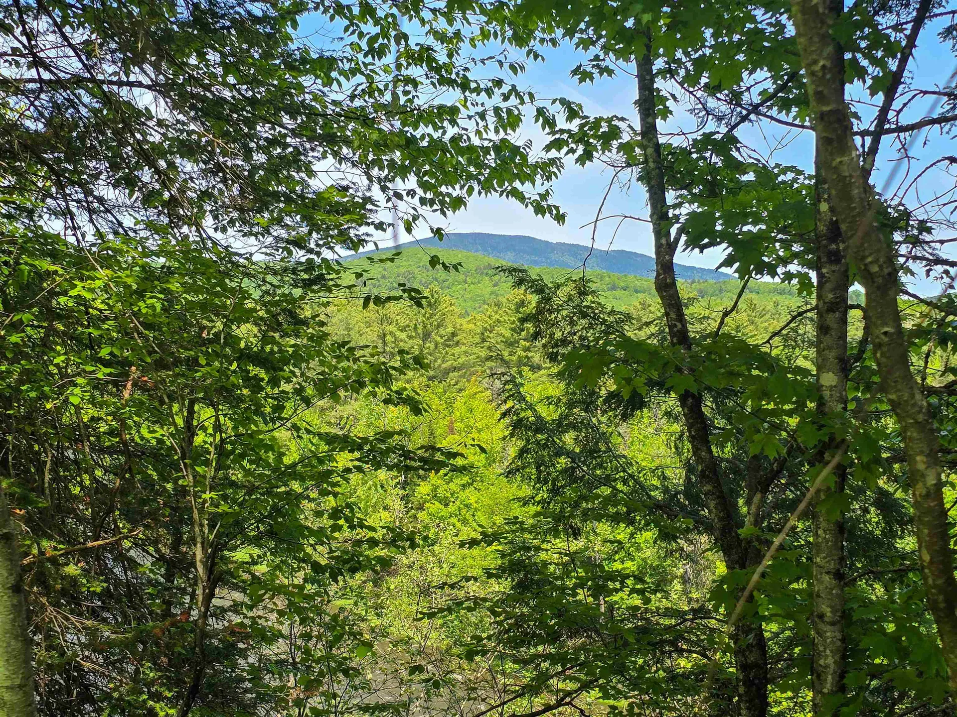 150 Spur Road Bloomfield VT 05905