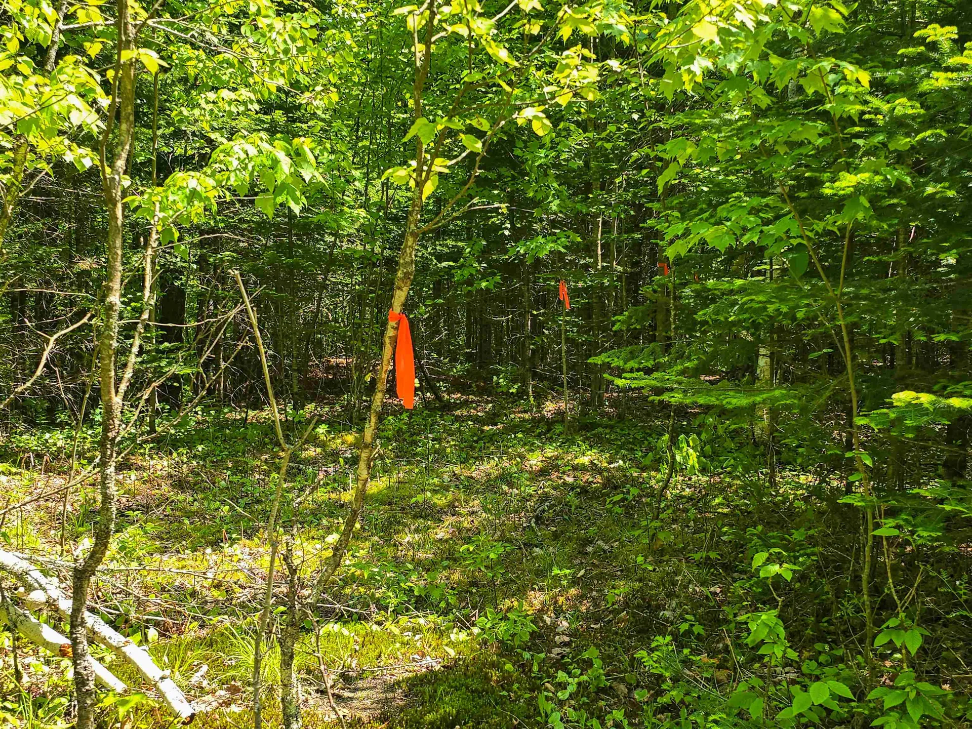 150 Spur Road Bloomfield VT 05905