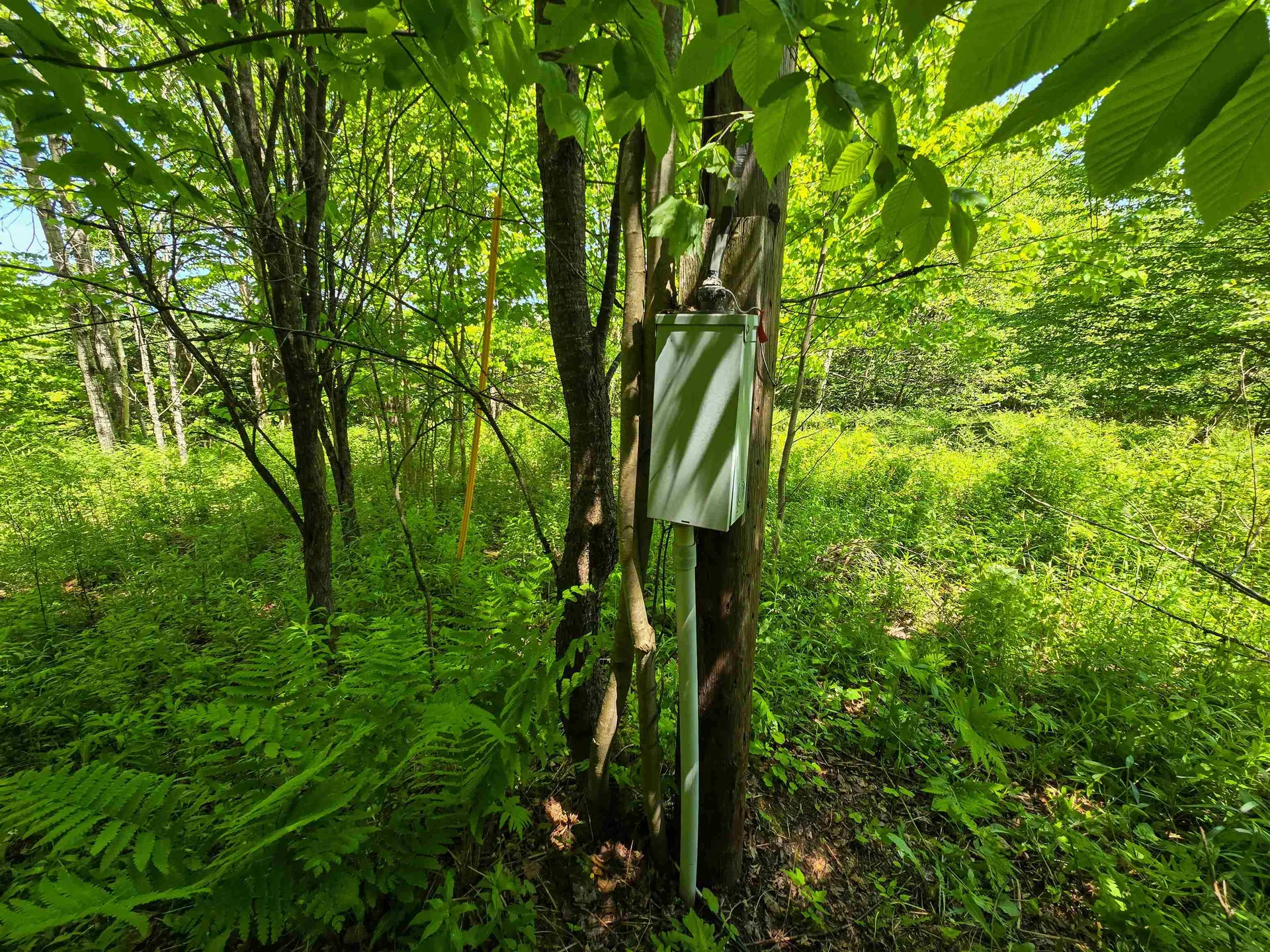 150 Spur Road Bloomfield VT 05905