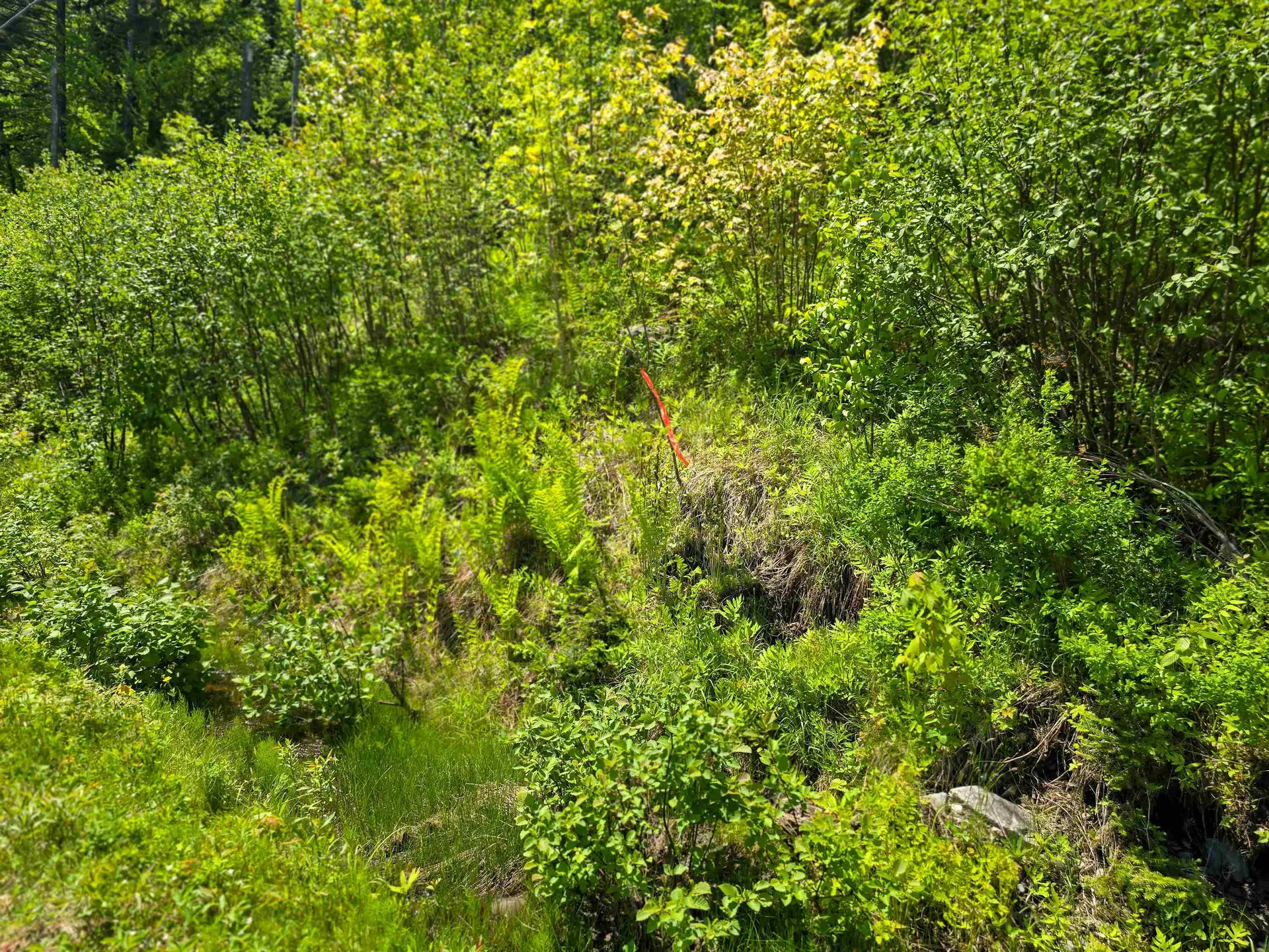 150 Spur Road Bloomfield VT 05905