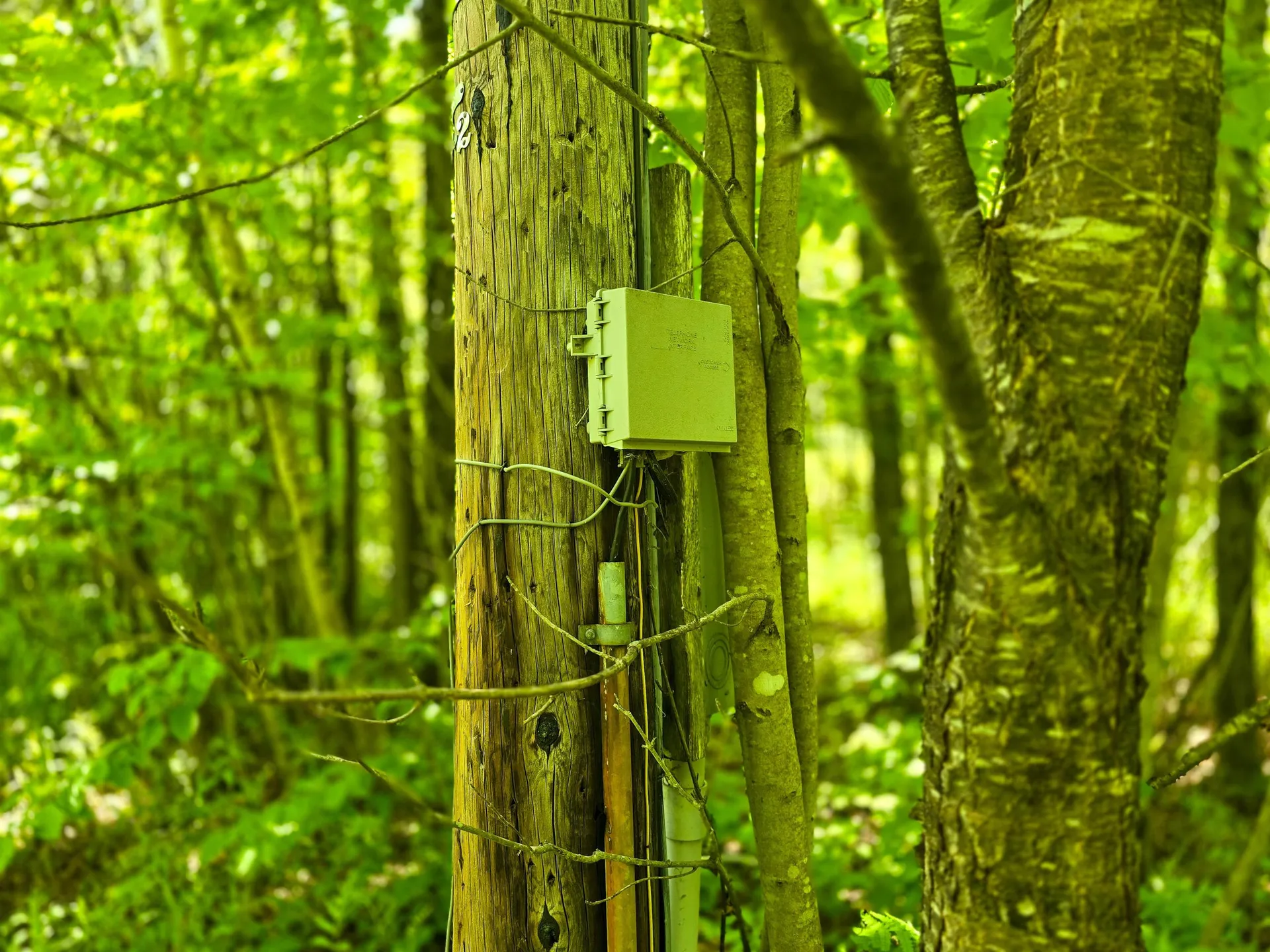 150 Spur Road Bloomfield VT 05905