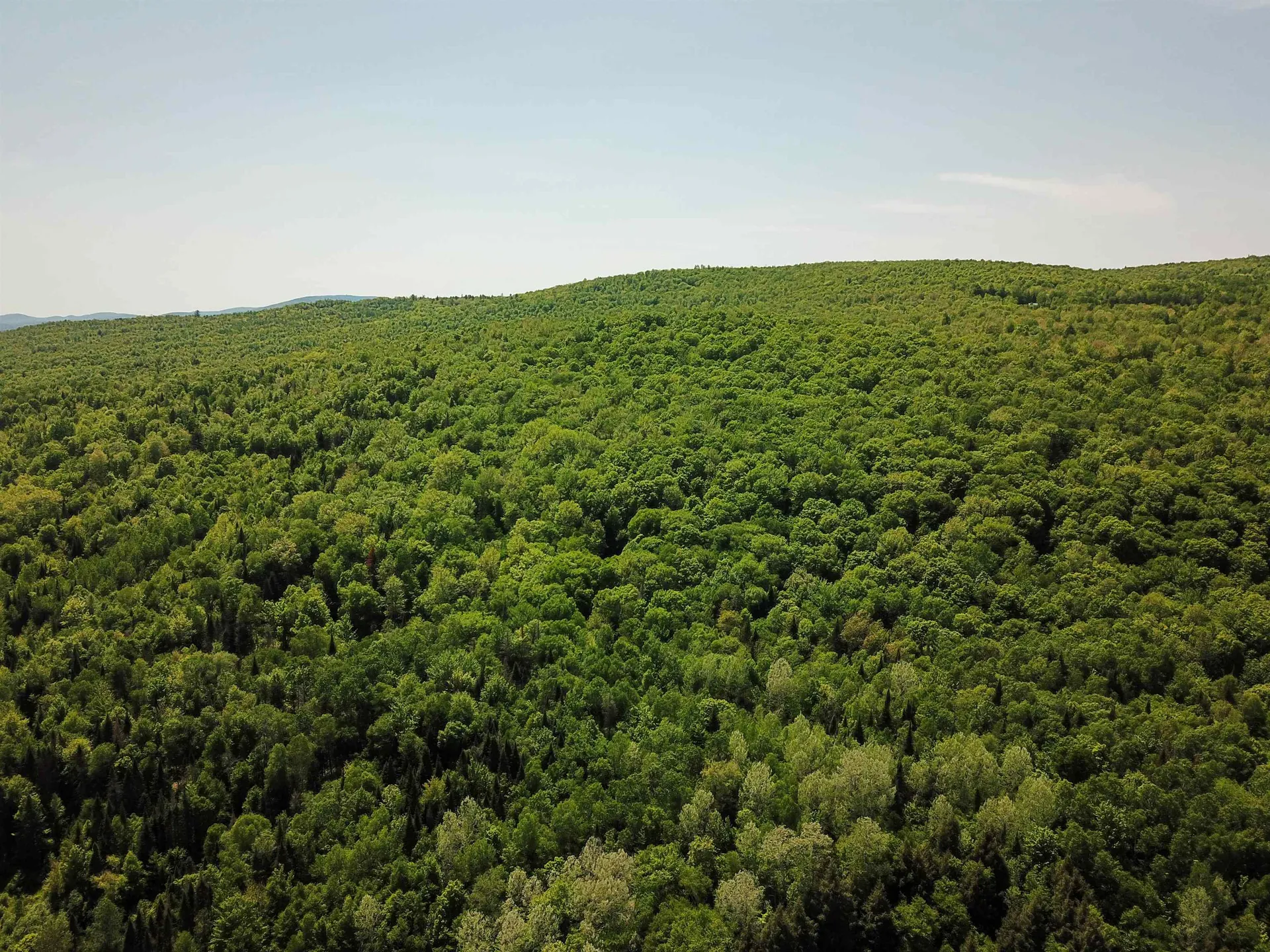 150 Spur Road Bloomfield VT 05905