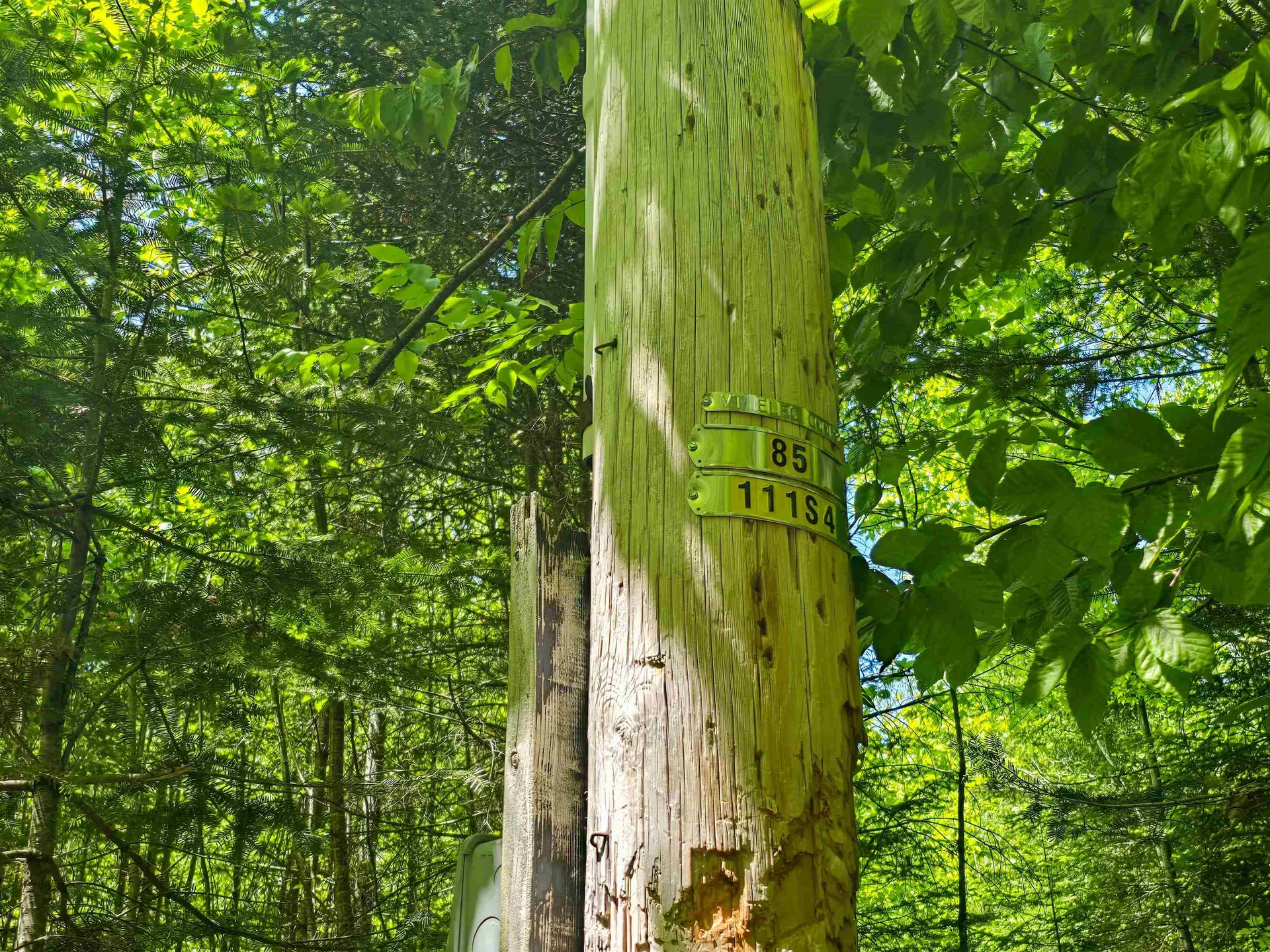 150 Spur Road Bloomfield VT 05905