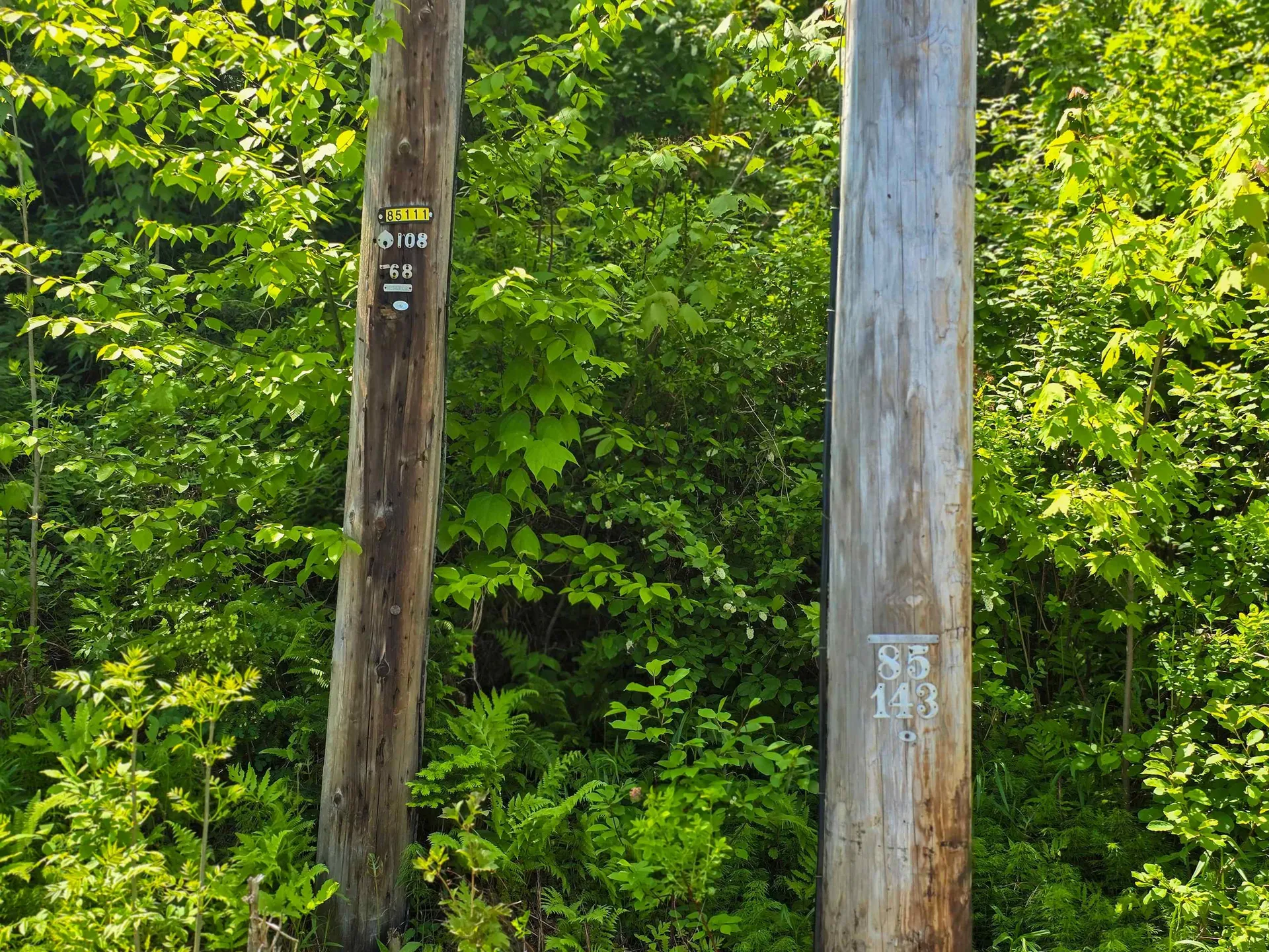 150 Spur Road Bloomfield VT 05905