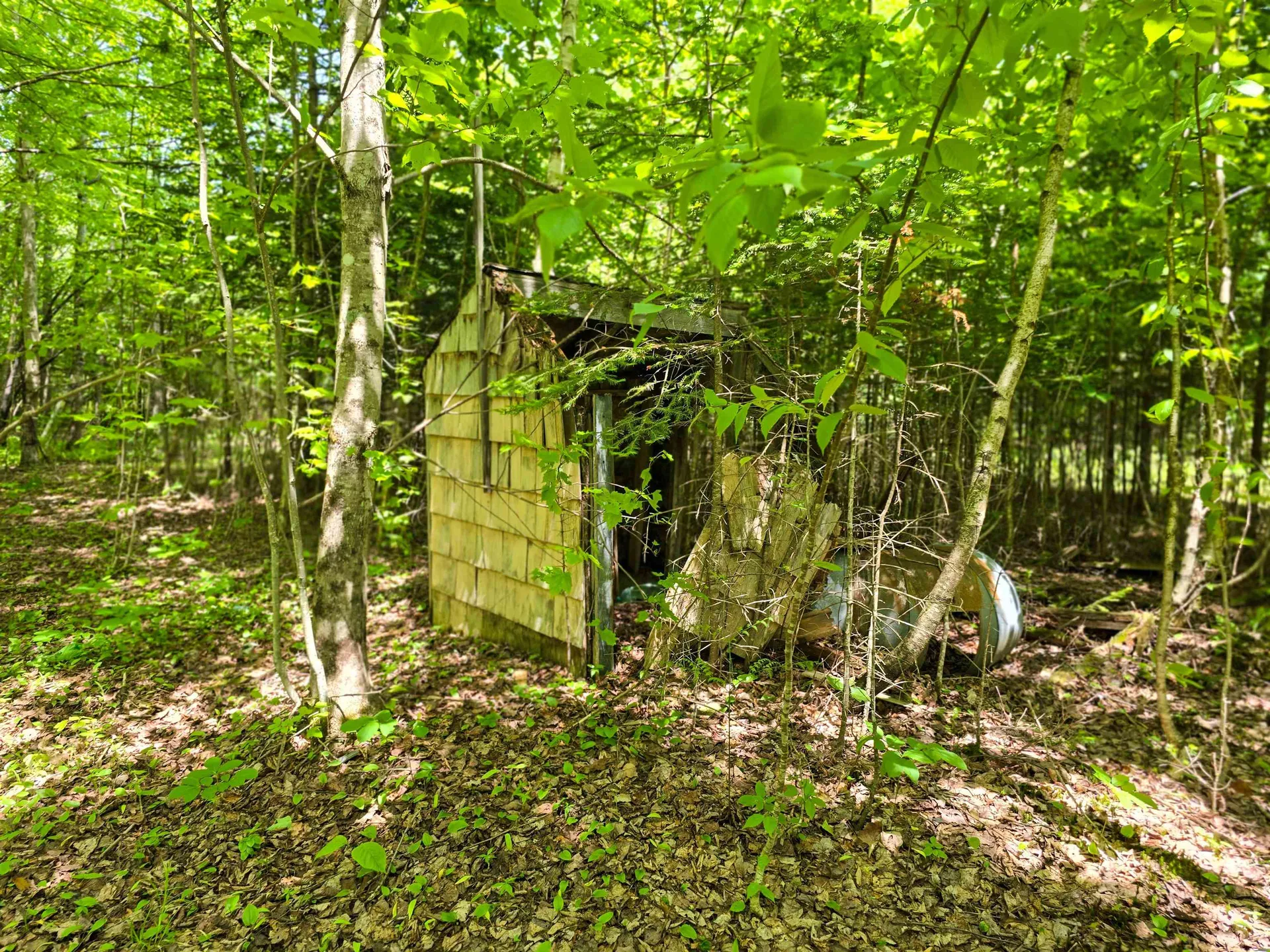 150 Spur Road Bloomfield VT 05905