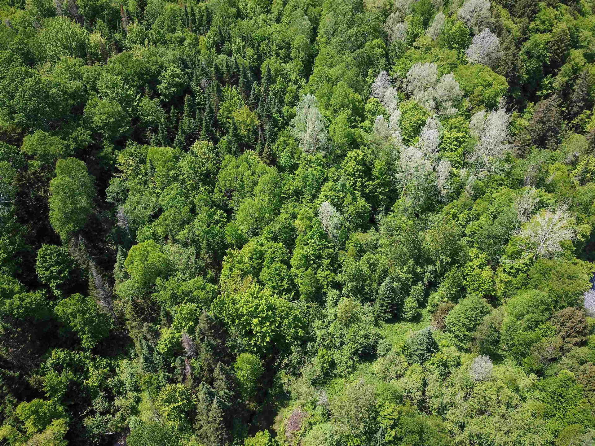 150 Spur Road Bloomfield VT 05905