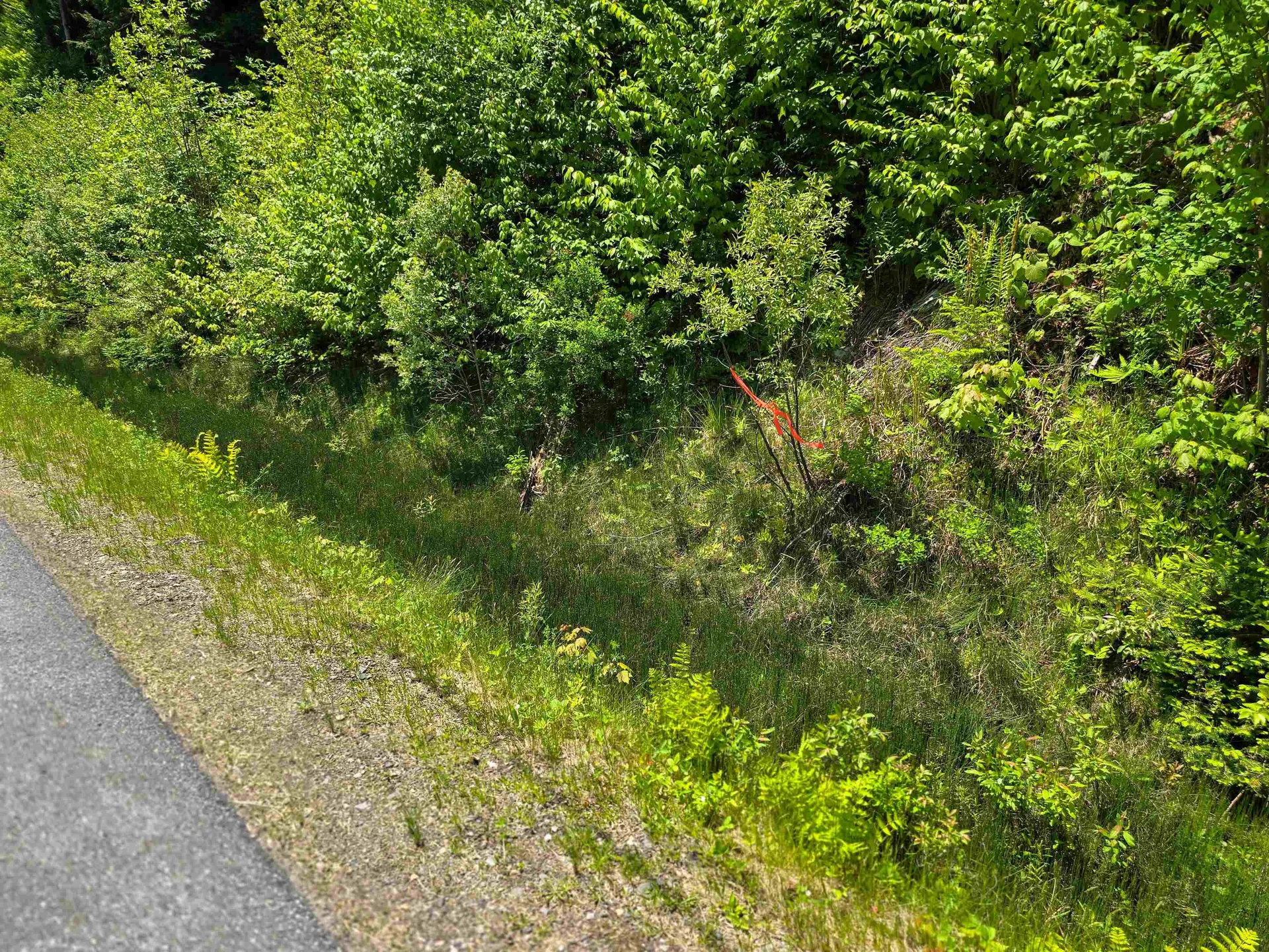 150 Spur Road Bloomfield VT 05905