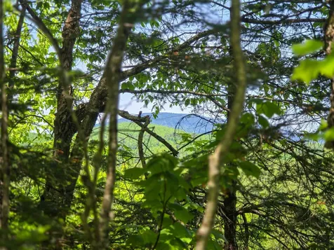150 Spur Road Bloomfield VT 05905