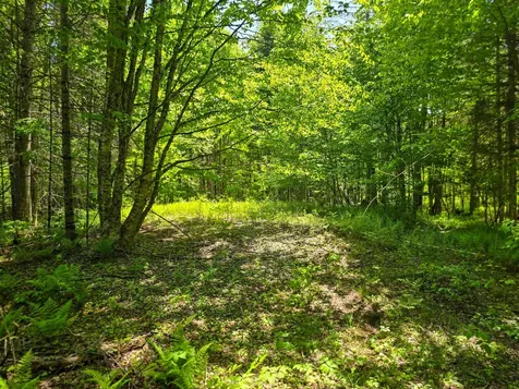 150 Spur Road Bloomfield VT 05905