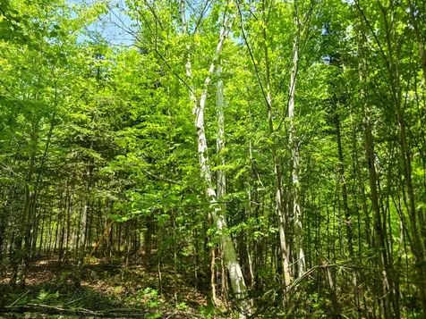 150 Spur Road Bloomfield VT 05905