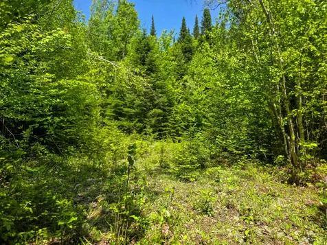 150 Spur Road Bloomfield VT 05905