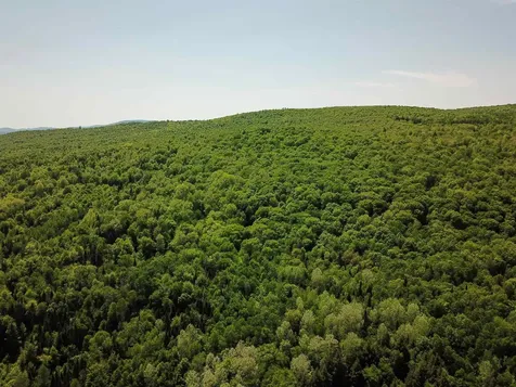 150 Spur Road Bloomfield VT 05905