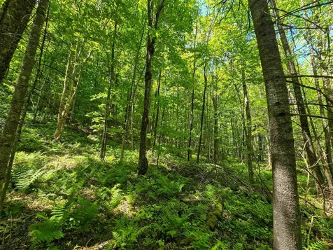 150 Spur Road Bloomfield VT 05905