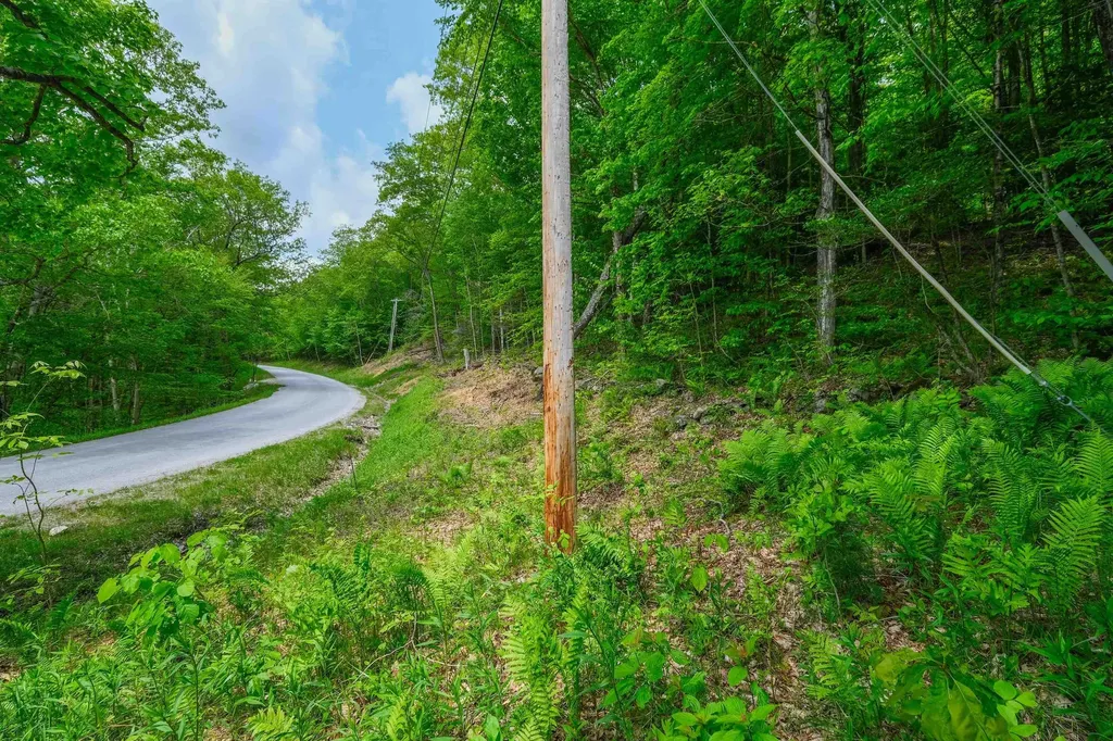 0 East Ash Road Plymouth VT 05056
