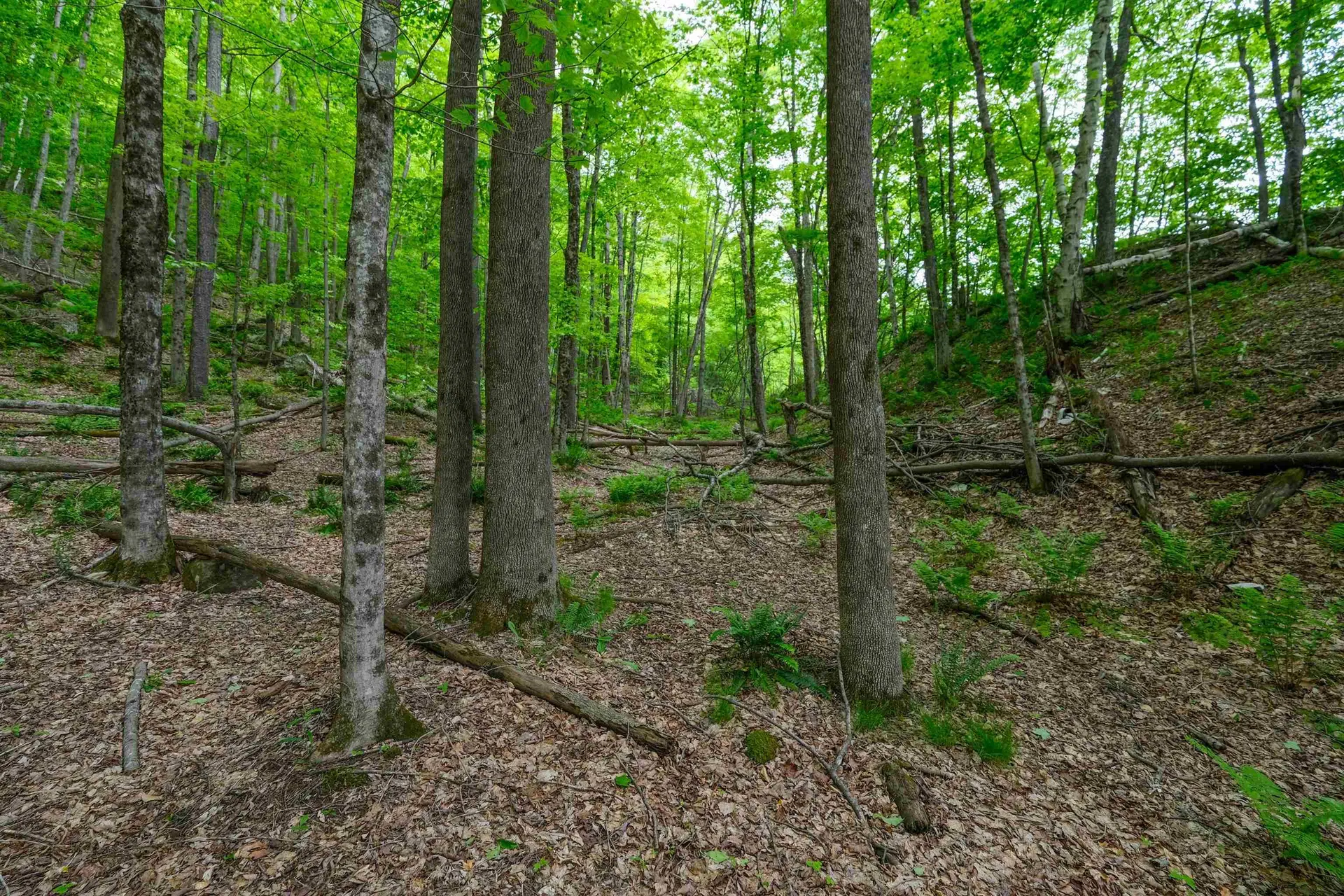 0 East Ash Road Plymouth VT 05056