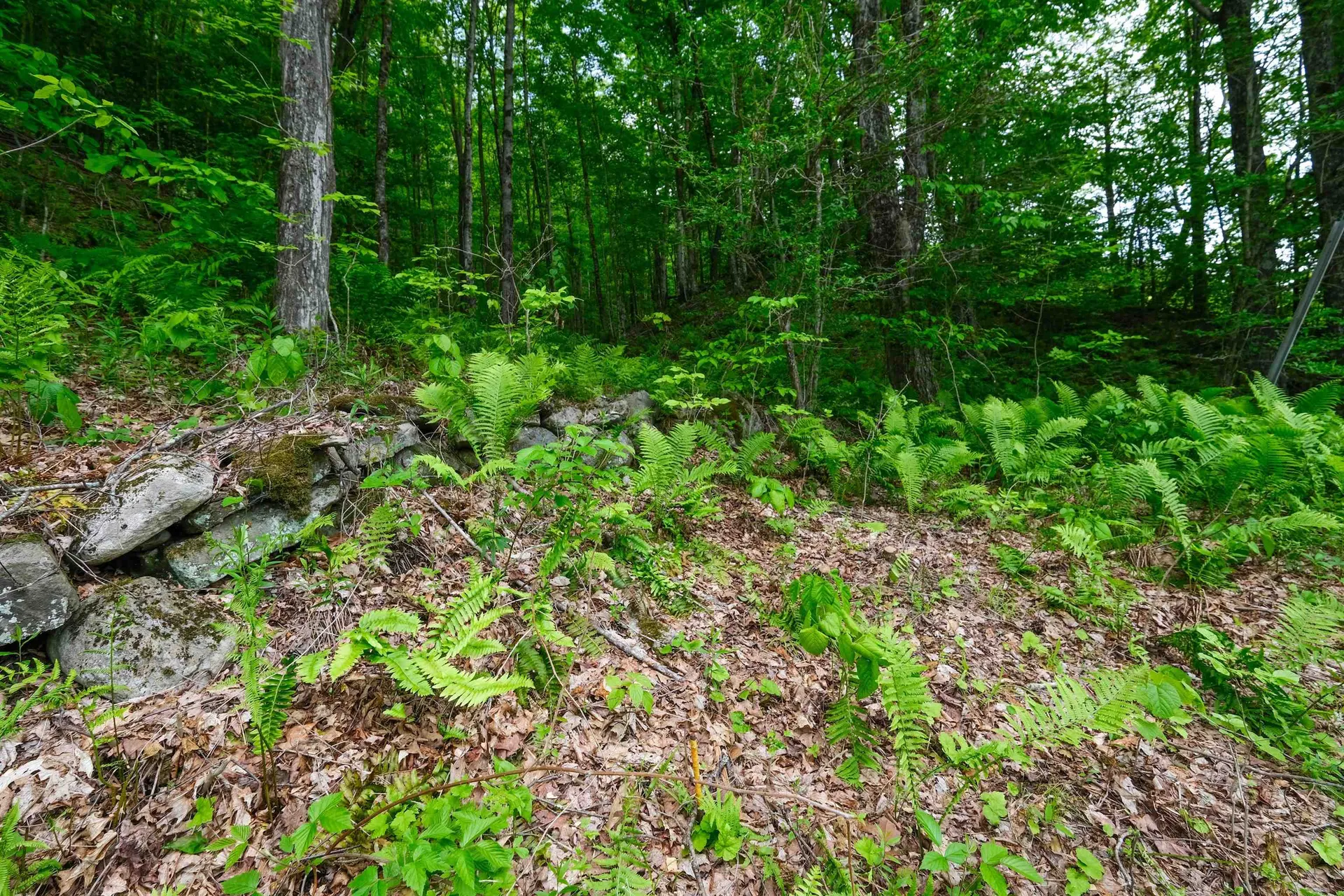 0 East Ash Road Plymouth VT 05056